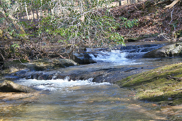 North Georgia trout stream for sale
